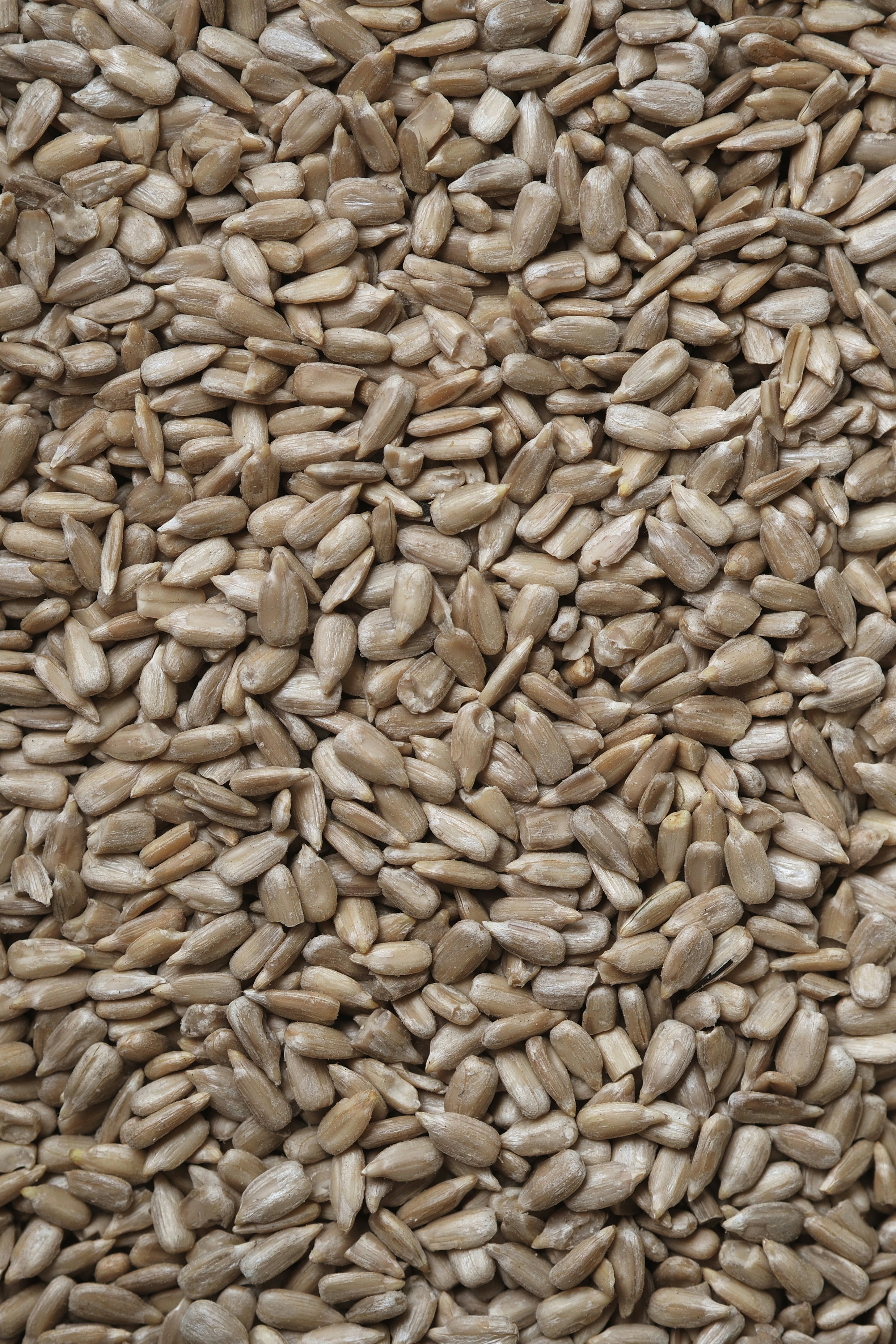 Sunflower Seeds Kernel
